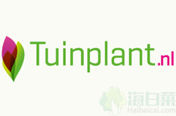 Tuinplant荷兰庭园与花园植物购物网站